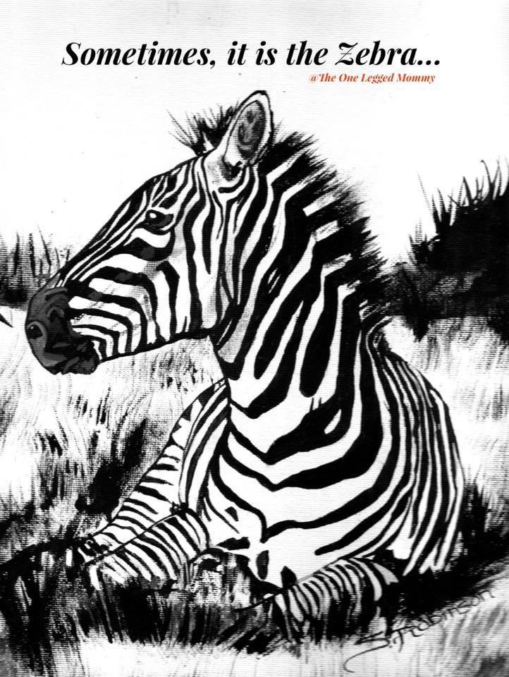 Sometimes it is the&nbsp;Zebra.